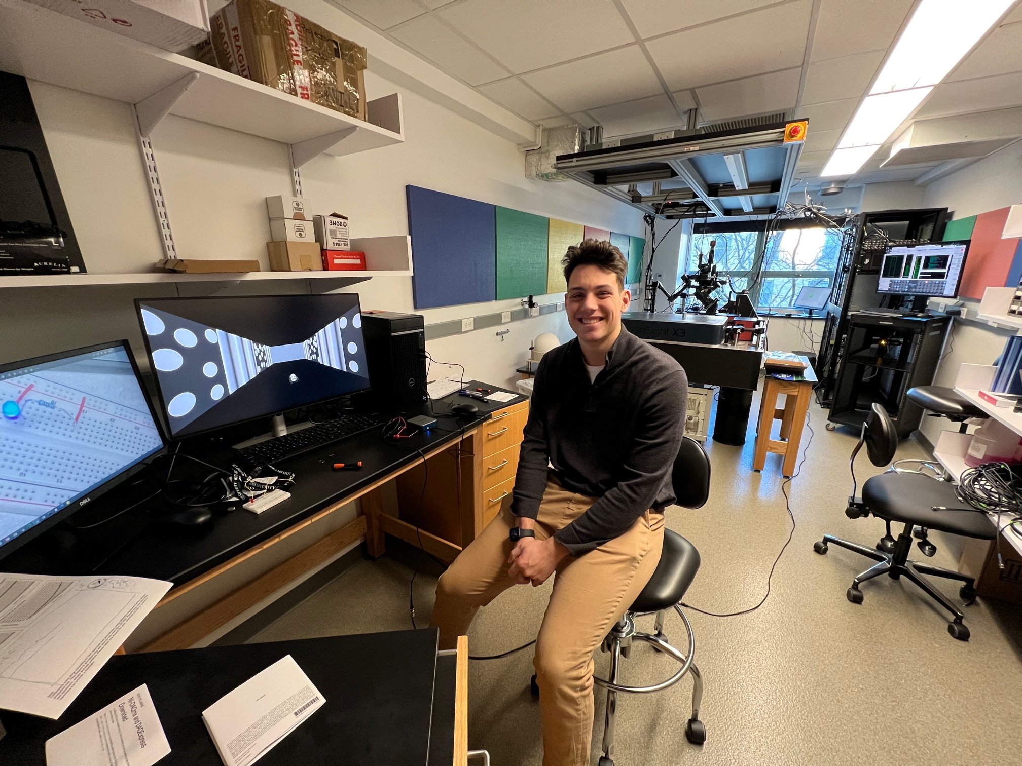 Virtual Reality Games for Mice